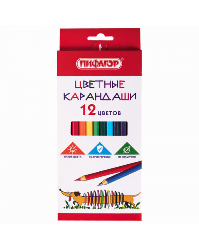 Карандаши цветные ПИФАГОР "Веселая такса", 12 цветов, классические, заточенные, 181806