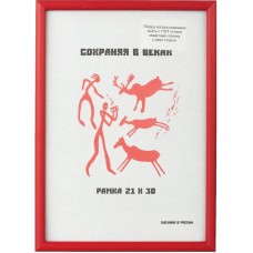 Рамка пластиковая 21x30 (A4) Красный, с пластиком, 1008927