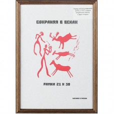 Рамка пластиковая 21x30 (A4) бронза, с пластиком,1008926,