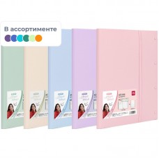 Папка файловая A3 с 20 файлами РР ассорти 72633, 1406414